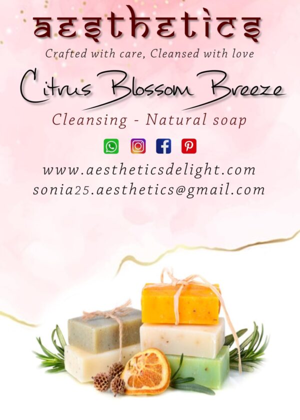 Aesthetics Handmade Beauty Soap (14)