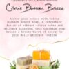 Aesthetics Handmade Beauty Soap Detail (14)