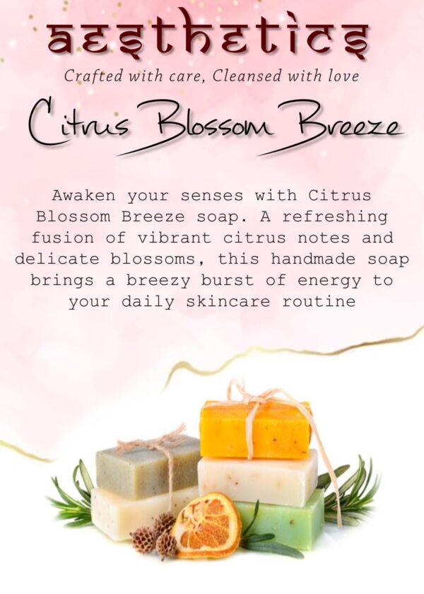 Aesthetics Handmade Beauty Soap Detail (14)