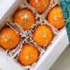 Special Candle 1 Aesthetics Ladoo Candles - Set of 6